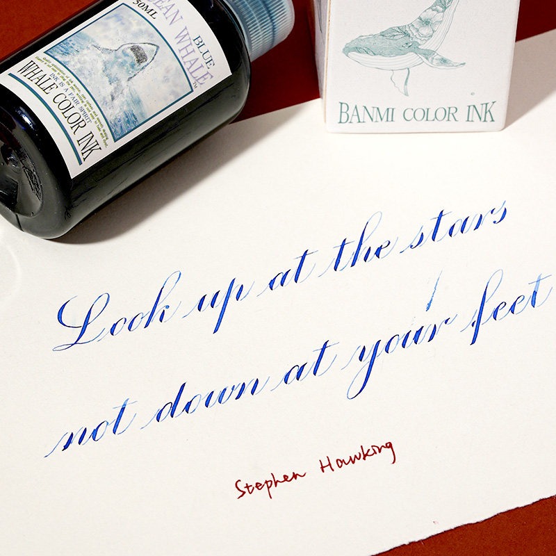 Banmi Whale Series Fountain Pe - огляд і ціна Fountain Pen Bottled Ink